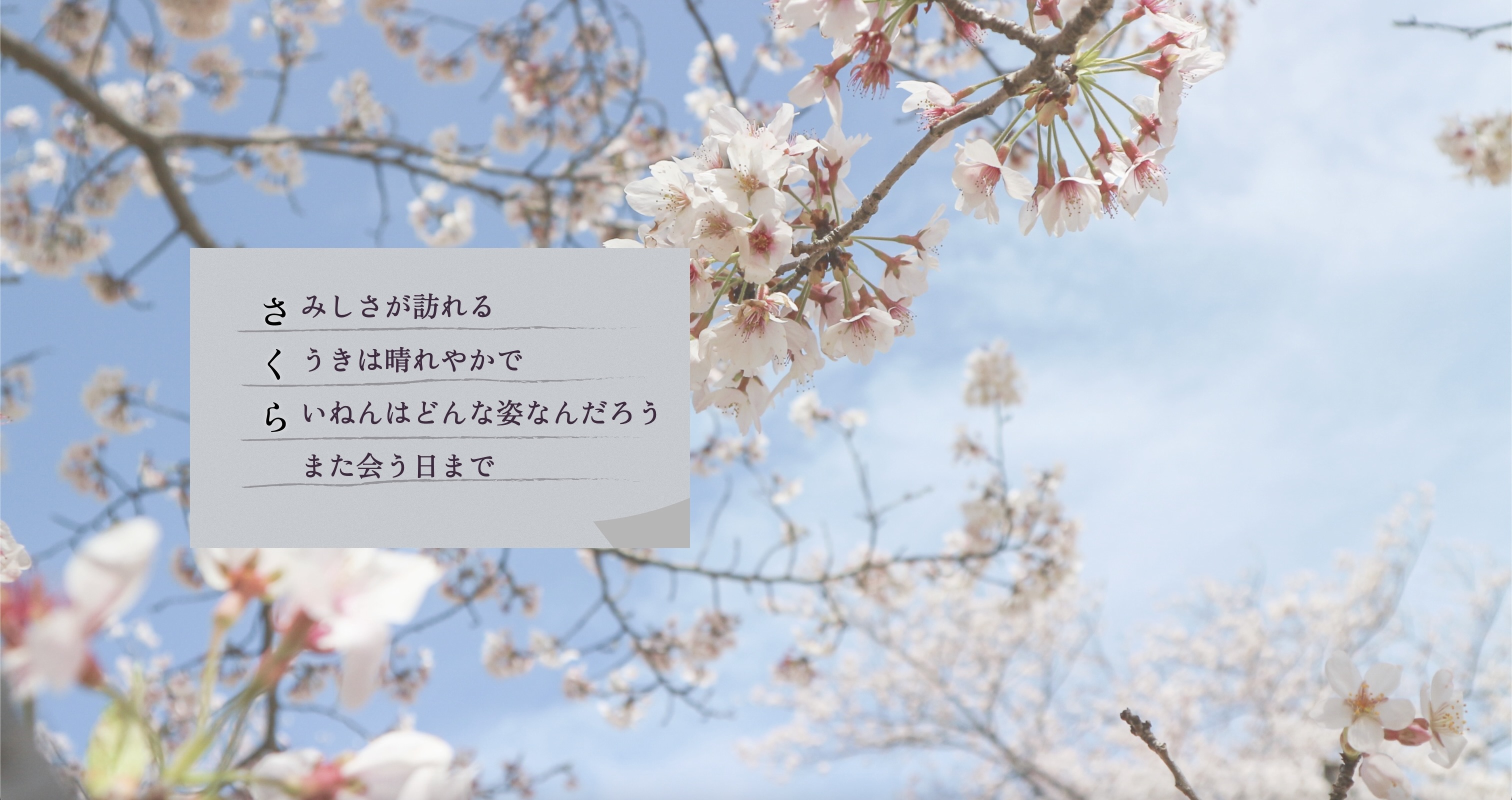 あなたに見せたいもの